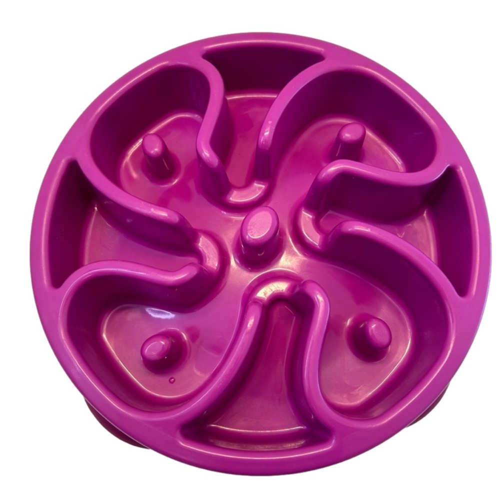 Fun Feeder Slo Bowl Dog Bowl Size Large